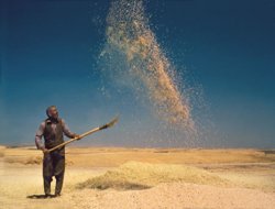 Tarım danışmanlık alan işletmeye destek