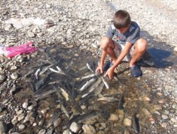 Murat Nehri diz boyuna indi