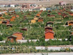 Huzur bahçeleri huzur veriyor