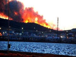 Aliağa Petkim'de endişelendiren yangın