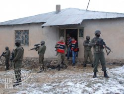 Dolandırıcılık ve Hayvan Hırsızlığı Şebekesi Çökertildi