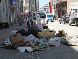 Vanlılar çöplerin neden toplatılmadığını merak ediyor