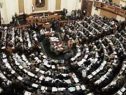 NUR PARTİSİ VE ÇAKMA "SELEFİLİK"