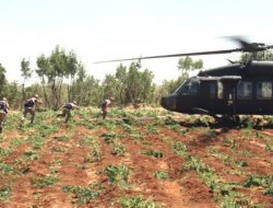 Diyarbakır'da Uyuşturucu Operasyonu