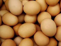 Mayısta yumurta üretimi arttı