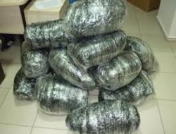 Operasyona Narkotîkê