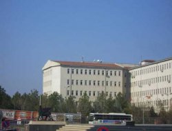 Çınar Botika köyünde kavga: 4 Yaralı