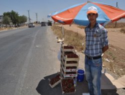 40 derece sıcakta geçim mücadelesi