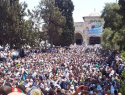 Aksa'dan Mısır İntifadasına destek