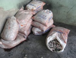 Van'da kaçak avlanma 2013'te yüzde 75 arttı