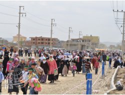 Batman Mevlid Alanına İnsan Seli