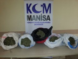 Manisa'da 18 kilo esrar 75 gram Bonzai ele geçirildi