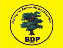 Bitlis Ahlat'ta kazanamayan BDP ilçeyi savaş alanına çevirdi