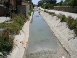 Mahallelinin başı tarihi Şamran Kanalı ile dertte!