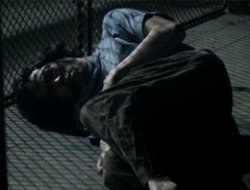 Mısır'da Yüzlerce İhvan Üyesi İşkence Altında!