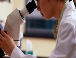 Japon bilim adamlarından bir ilk