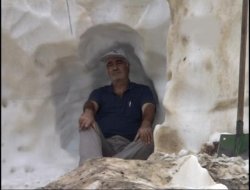 Sıcaktan bunalınca çareyi böyle buldular