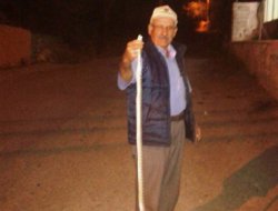 Manisa'da yılan paniği