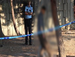 Şişli'de ağaca asılı erkek cesedi bulundu