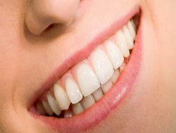 İdrardan diş üretimine doğru...