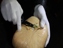 Bulaşık makinalarının içinden uyuşturucu çıktı