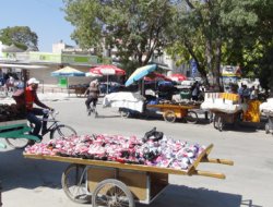 Konya'da seyyar satıcı gerginliği