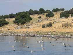 Van Erçek Gölü'nde avlanmak yasak