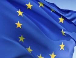 Ergenekon kararına AB'den ilk yorum