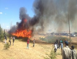 Silivri'de tarlaları ateşe verdiler