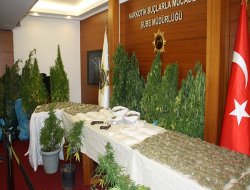 Boğaz manzaralı esrar tarlası