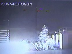 Özgür-Der'e yapılan saldırı güvenlik kamerasında