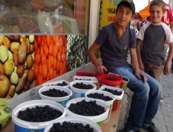 Hem şifa hem de geçim kaynağı: Böğürtlen