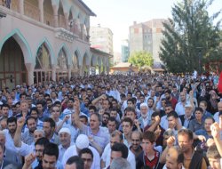 Van Mısır ile tek yürek oldu