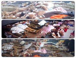 Diyarbakırlılar, Mısır halkı için 3 günlük eylem yapacak