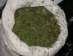 Diyarbakır'da 12 Kg esrar ele geçirildi