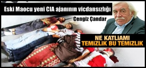 Cengiz Çandar'dan Mısır'daki katliama 'temizlik' tarifi!