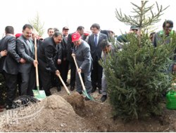 TBMM 24. Dönem Hatıra Ormanı Oluşturuldu