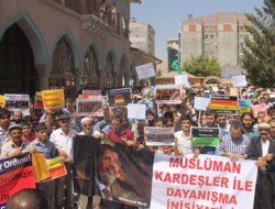 "Bütün çocukları öldürseniz de bir Musa sağ kalacak"