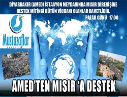 `Amed`ten Mısır Direnişine Destek Mitingi`