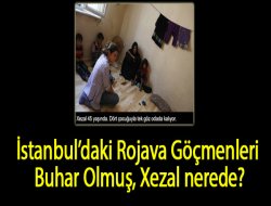 İstanbul`daki Rojava Göçmenleri Buhar Olmuş, Xezal Nerede?