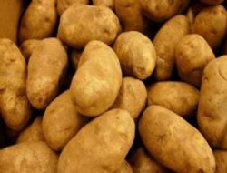 Patates bir aileyi yok etti!