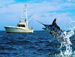 Ava giderken avlanıyorlardı