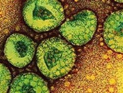 Suudi Arabistan’da Virüs Salgını: 41 Ölü