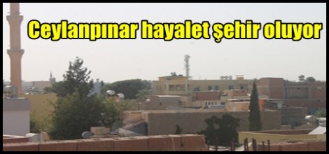 Ceylanpınar hayalet şehir oluyor