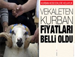 Diyanet'in Kurban bedeli 550 TL
