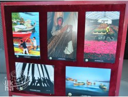 "Tarım ve İnsan" Fotoğraf Yarışmasına Başvurular Başladı