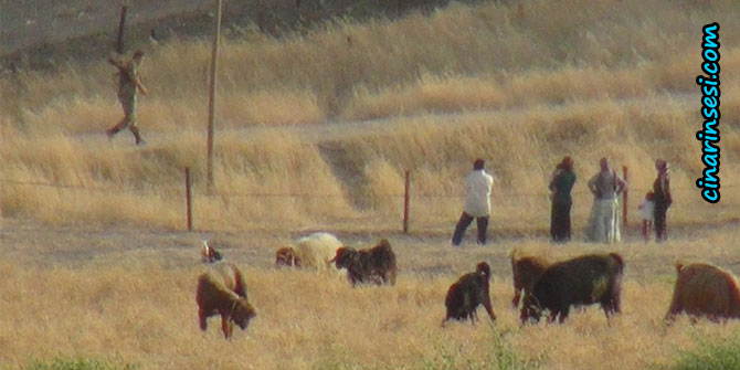 Nusaybin'de mayınlı arazide tehlikeli görüşme