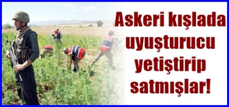 Askeri kışlada  uyuşturucu yetiştirip  satmışlar!