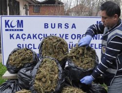 Bursa'da 282 kilo esrar ele geçirildi