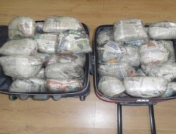 İstanbul'da uyuşturucu baskınları